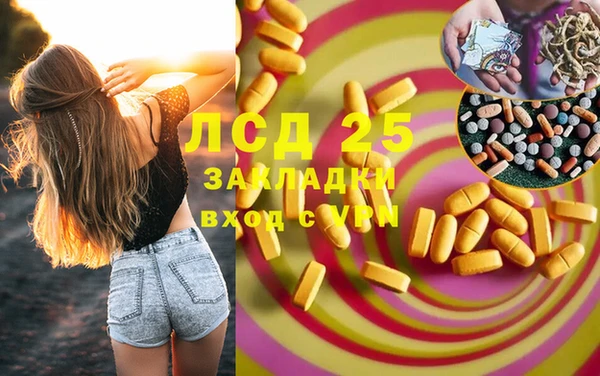 индика Абинск