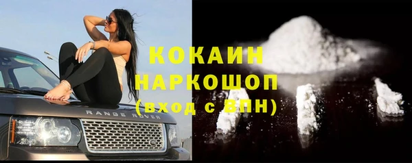 гидра Алексеевка