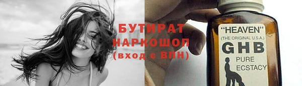 индика Медвежьегорск