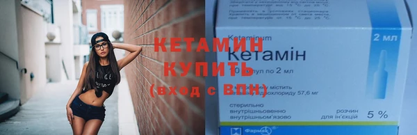 индика Медвежьегорск