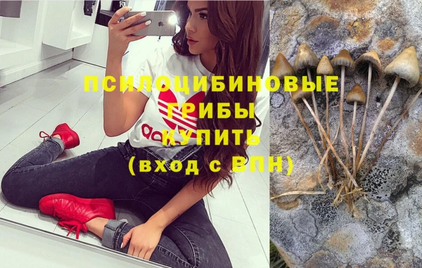 мескалин Абаза