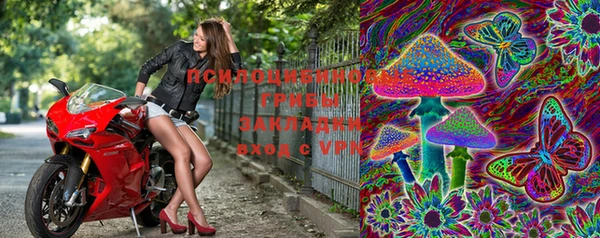 индика Абинск