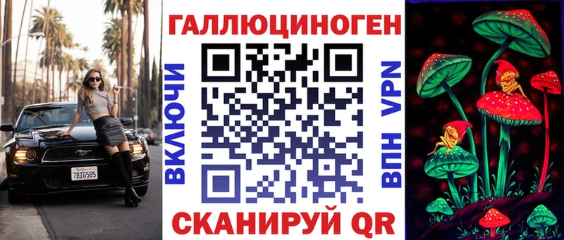 купить  цена  Черкесск  Псилоцибиновые грибы GOLDEN TEACHER 